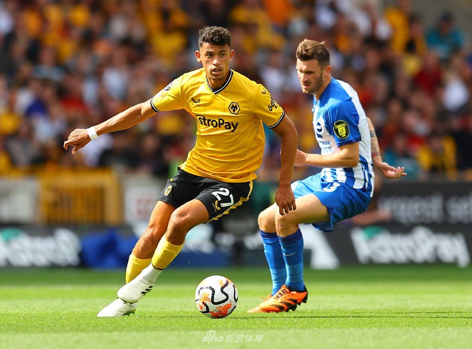 表现可谓 表现可谓