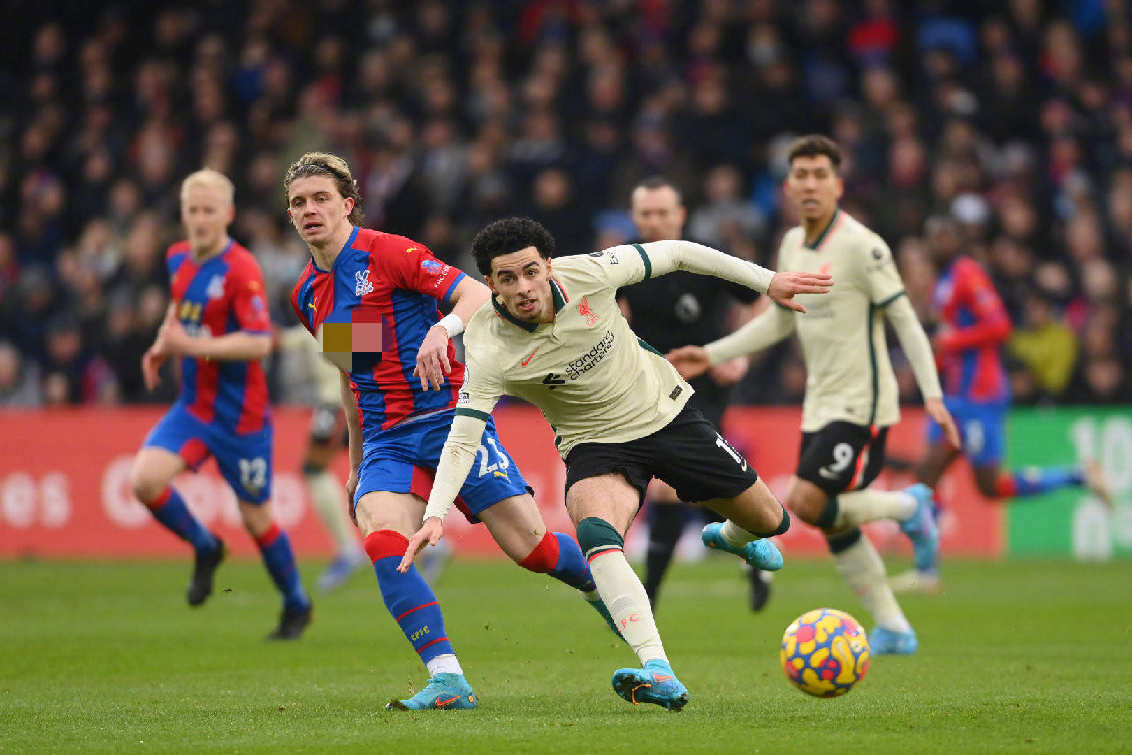 不仅汇聚了 不仅汇聚了